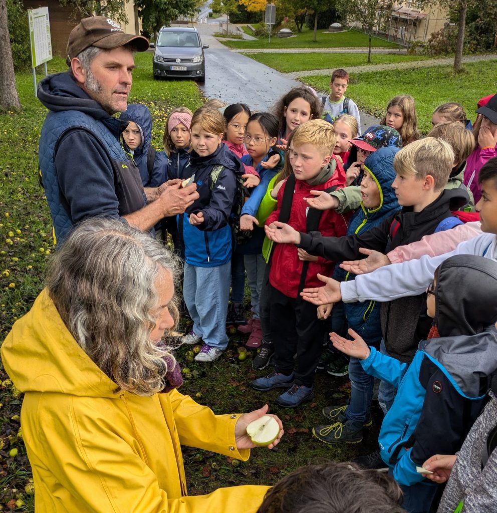 Apfelsortenverkostung